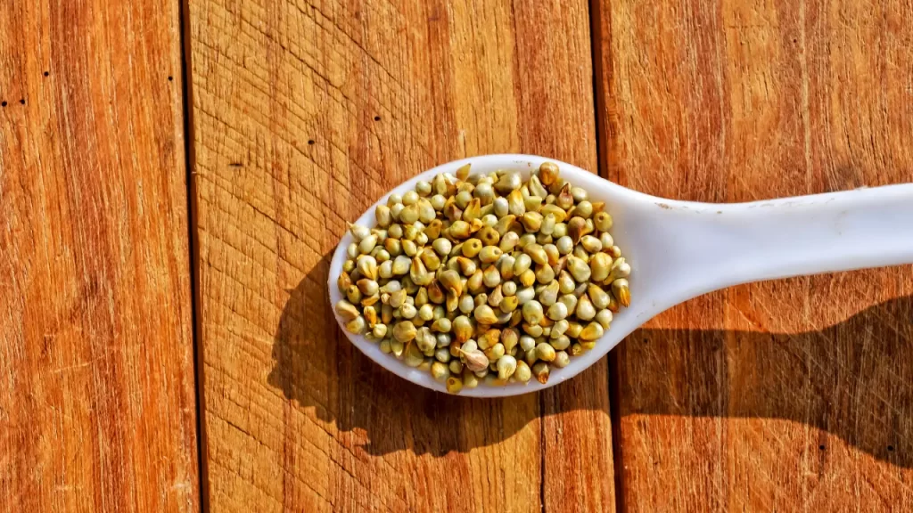 Varagu arisi Benefits