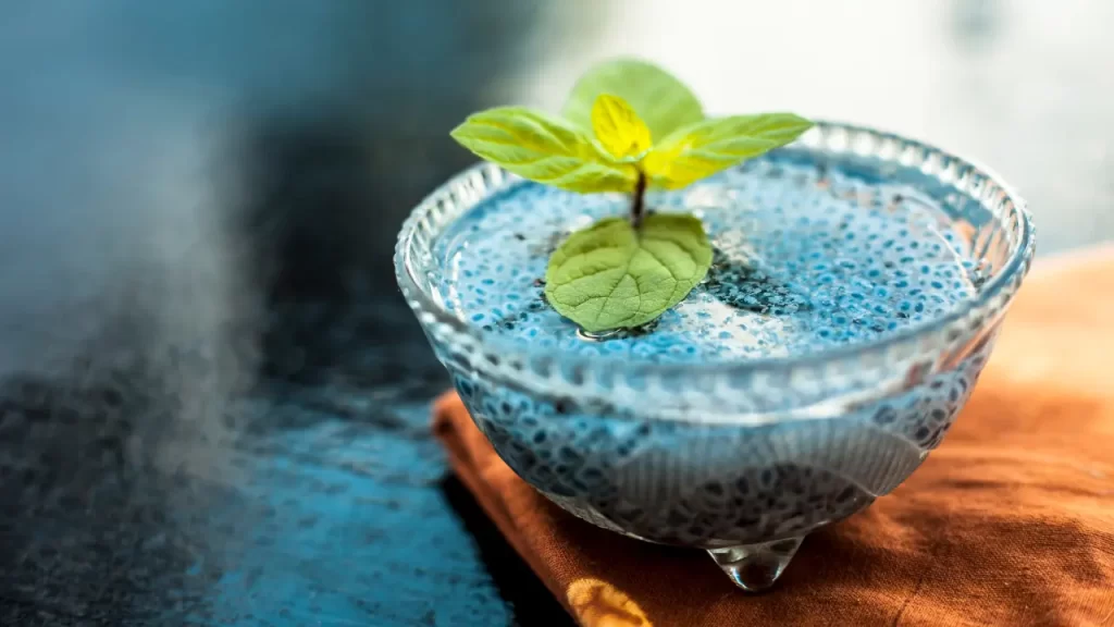 sabja seeds benefits