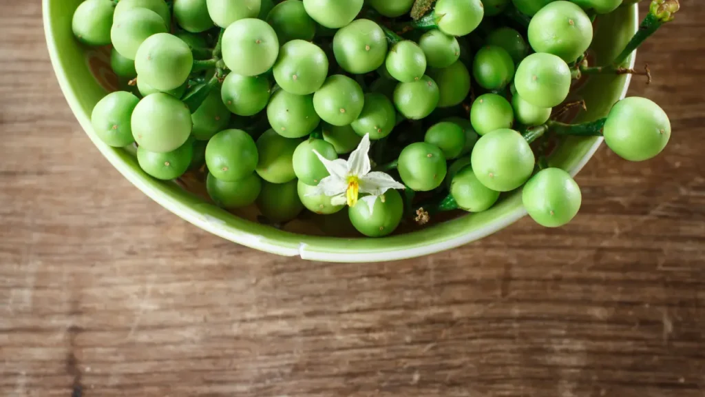 சுண்டைக்காய் பயன்கள்