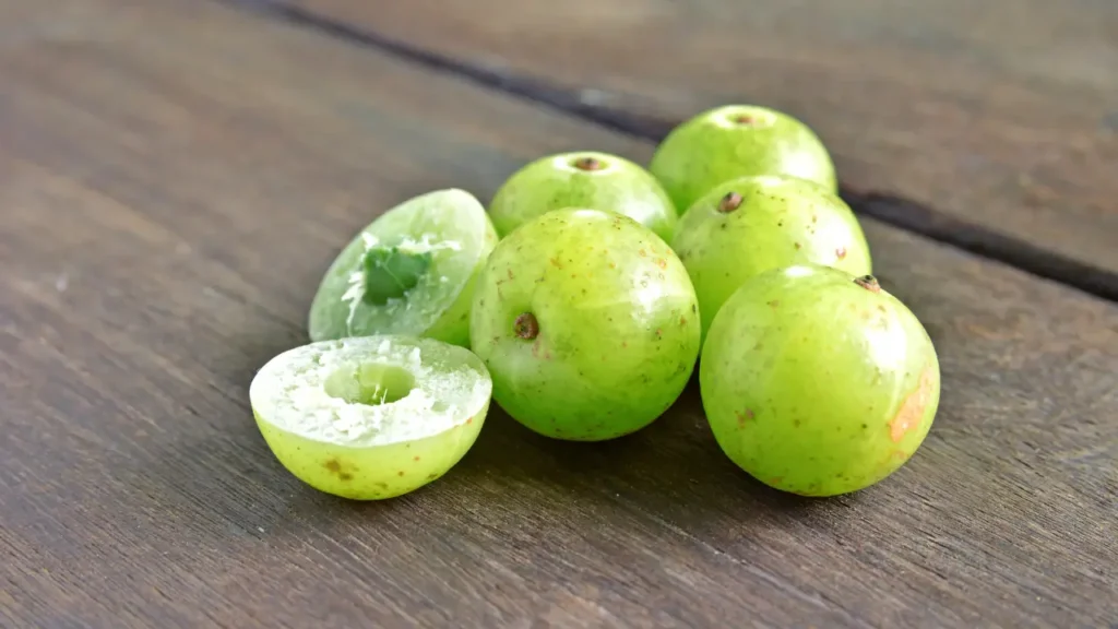 நெல்லிக்காய் பயன்கள் (2)