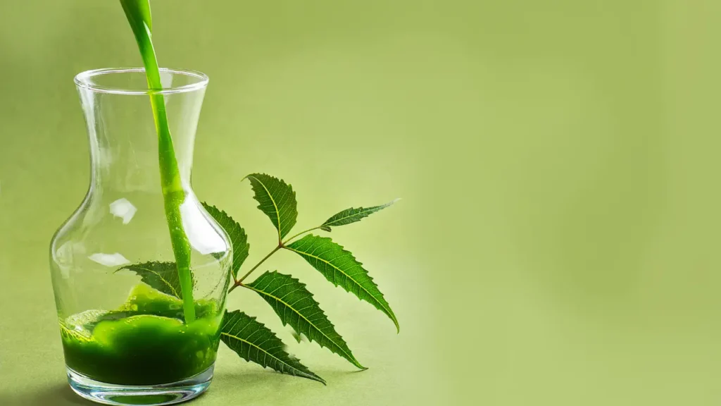 வேப்பிலை பயன்கள் (2)