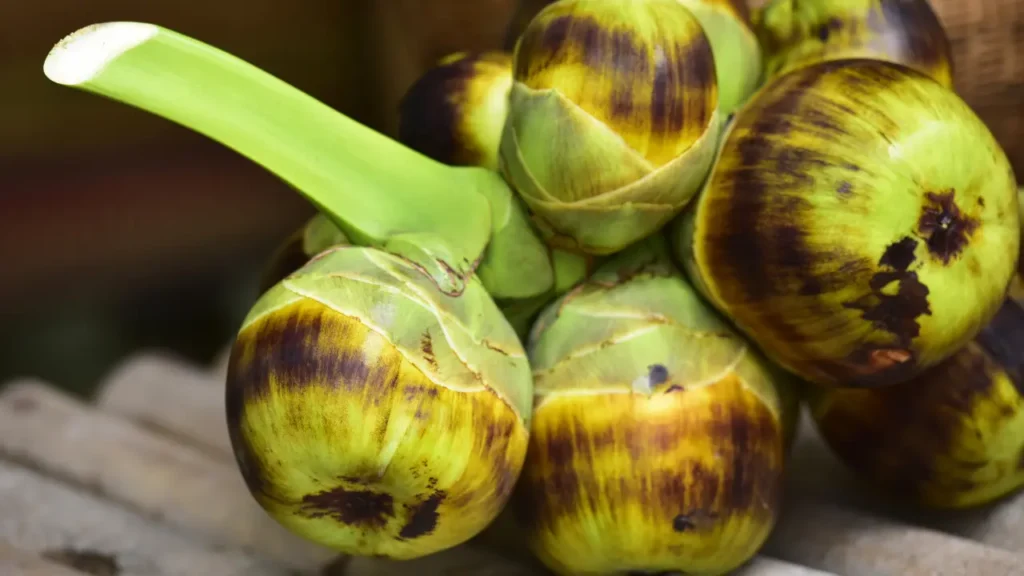 பனம்பழம் பயன்கள்