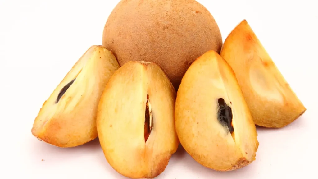 சப்போட்டா பழம் பயன்கள்