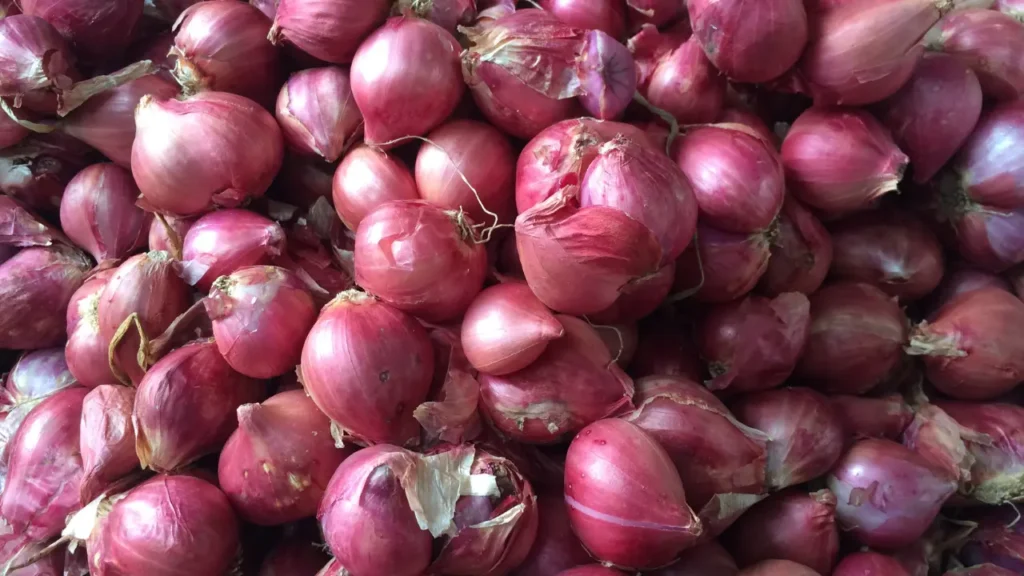 சின்ன வெங்காயம் பயன்கள்