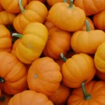 பரங்கிக்காய் பயன்கள்